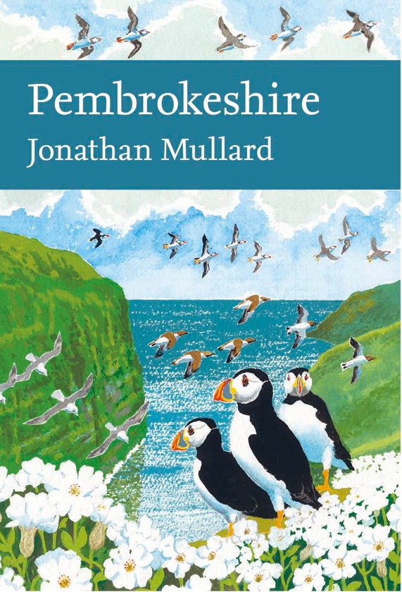 Паперова книга «Pembrokeshire», автор Джонатан Муллард - фото №1