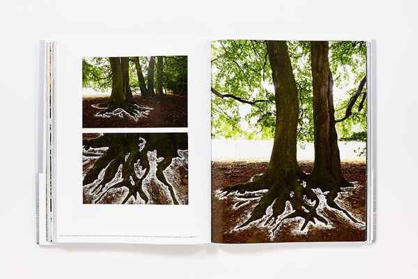 Бумажная книга «Andy Goldsworthy. Ephemeral Works. 2004-2014», автор Энди Голдсуорси - фото №1