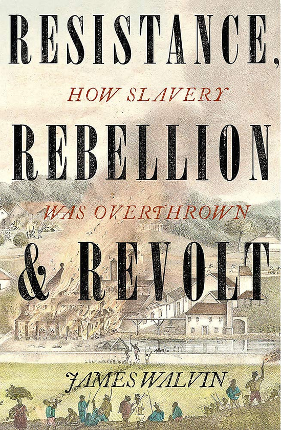 Бумажная книга «Resistance, Rebellion and Revolt. How Slavery Was Overthrown», автор Джеймс Валвин - фото №1
