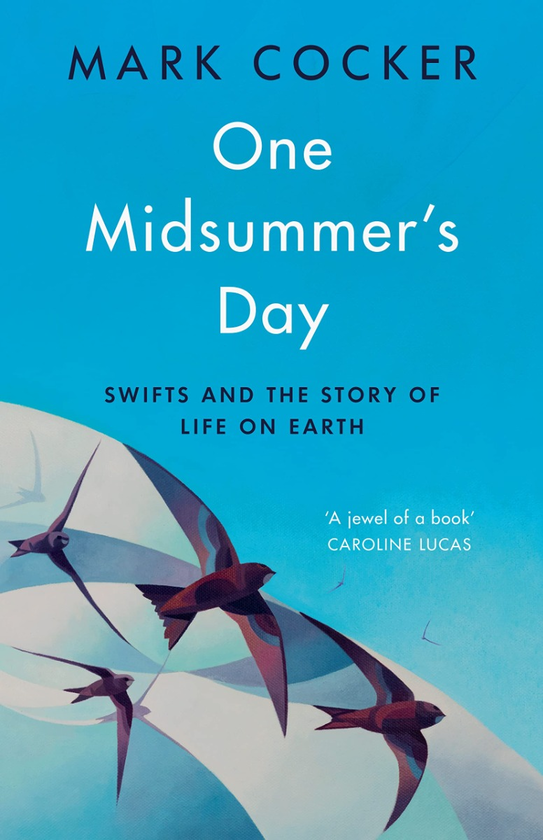 Паперова книга «One Midsummer's Day», автор Марк Кокер - фото №1
