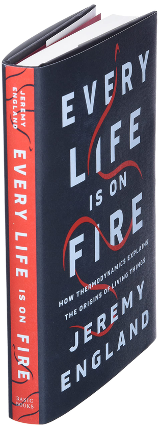 Бумажная книга «Every Life Is On Fire. How Thermodynamics Explains the Origins of Living Things», автор Джереми Инглэнд - фото №1