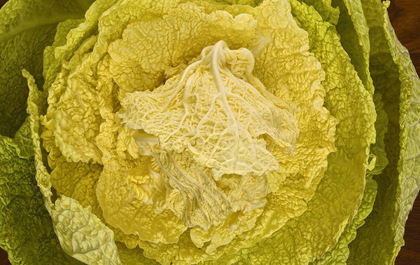 Бумажная книга «Photography of Modernist Cuisine», автор Натан Мирволд - фото №1