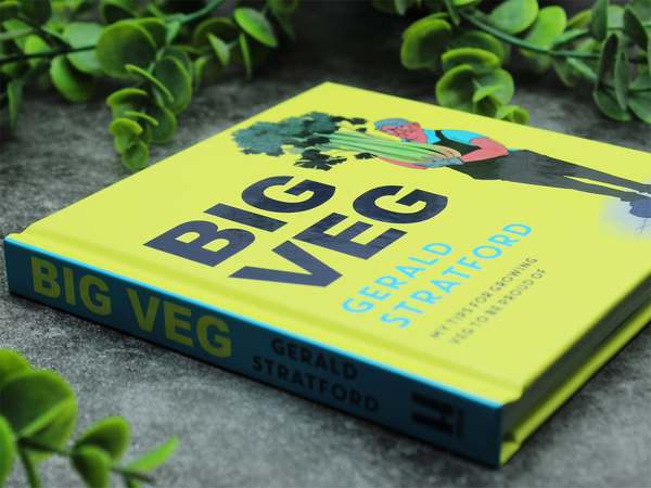 Бумажная книга «Big Veg», автор Джеральд Стрэтфорд - фото №1