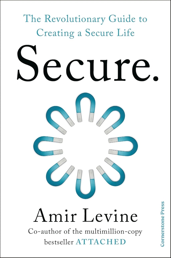Бумажная книга «Secure», автор Амир Левин - фото №1