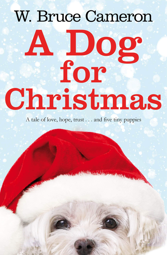 Паперова книга «A Dog for Christmas», автор Брюс Кемерон - фото №1