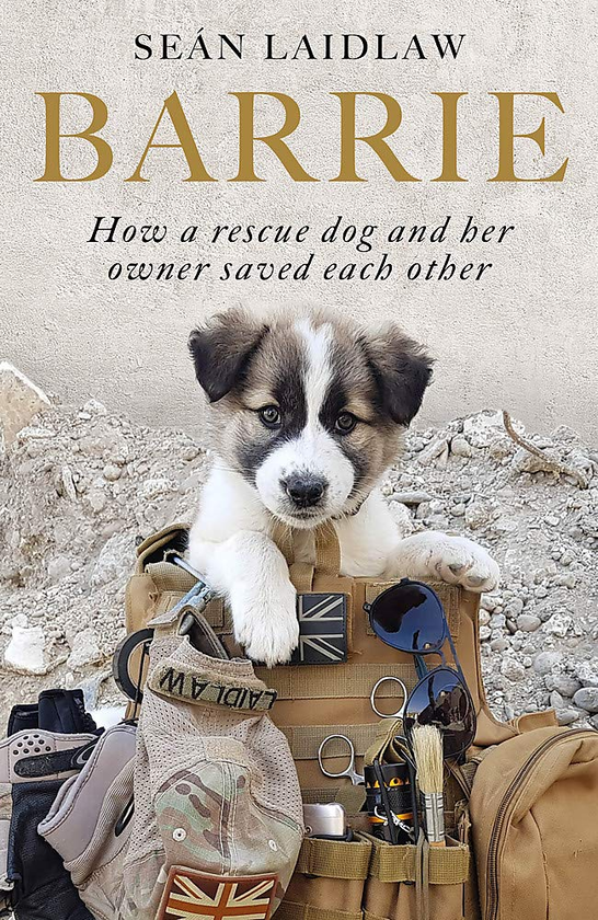 Бумажная книга «Barrie : How a rescue dog and her owner saved each other», автор Шон Лэйдлоу - фото №1