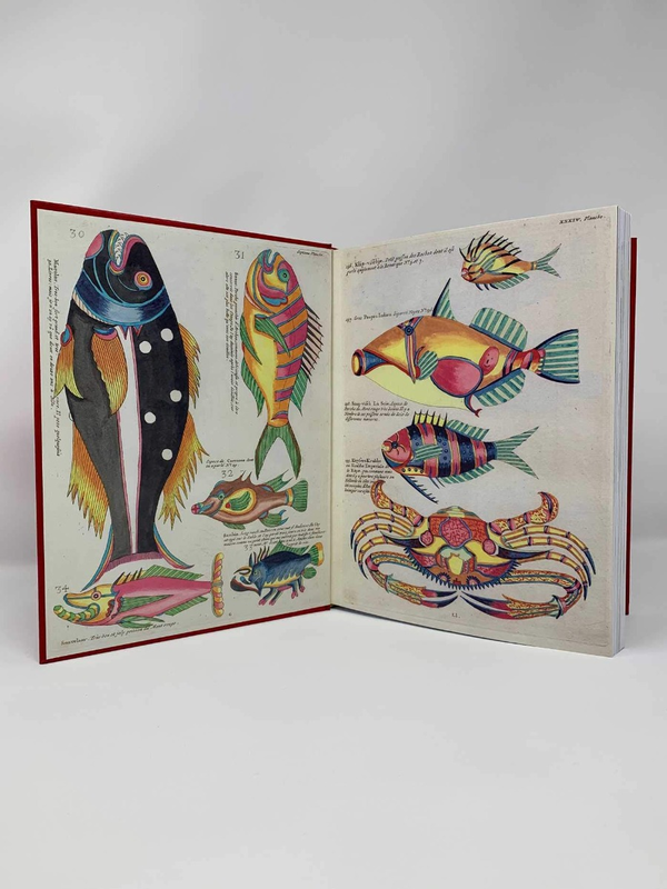 Бумажная книга «The Madman's Library. The Greatest Curiosities of Literature», автор Эдвард Брук-Хитчинг - фото №1