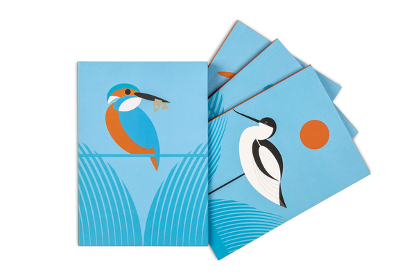 Бумажная книга «I Like Birds: River, Estuary & Shore Boxed set of 3 bird-themed journals» - фото №1