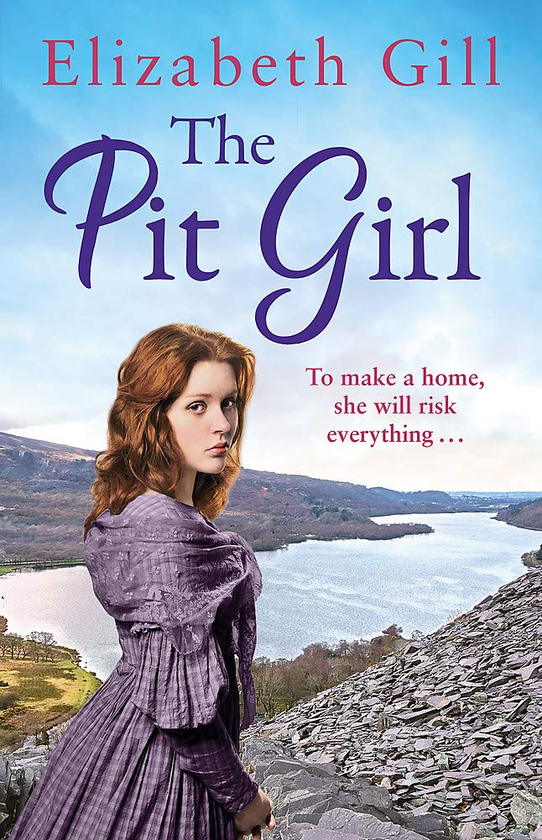 Бумажная книга «The Pit Girl», автор Элизабет Р Ханкин - фото №1