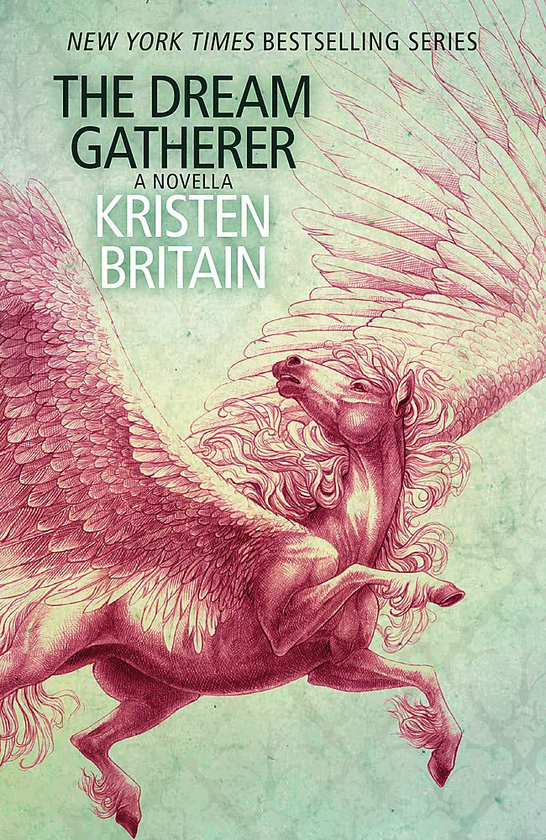 Паперова книга «The Dream Gatherer», автор Крістен Брітен - фото №1