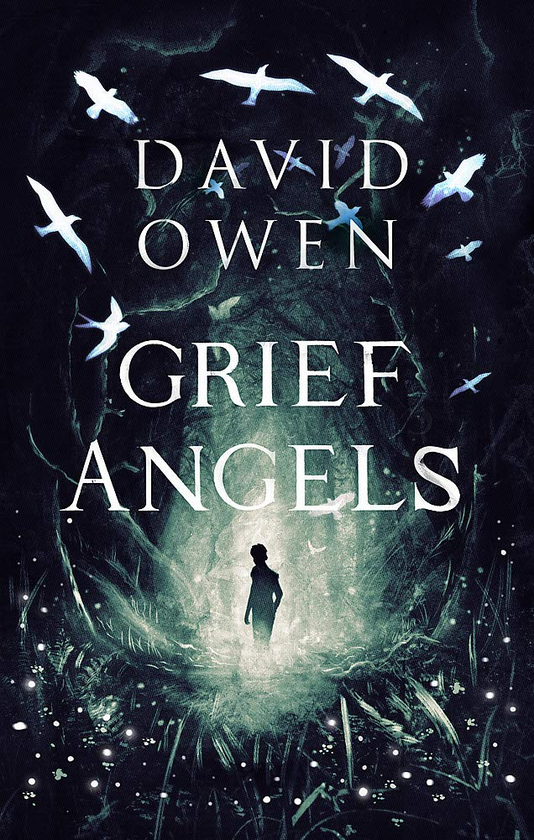 Бумажная книга «Grief Angels», автор Дэвид Оуэн - фото №1