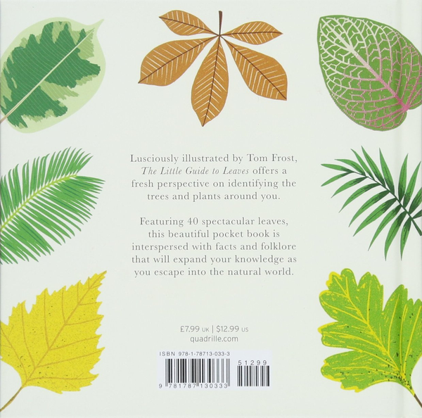 Бумажная книга «The Little Guide to Leaves» - фото №1