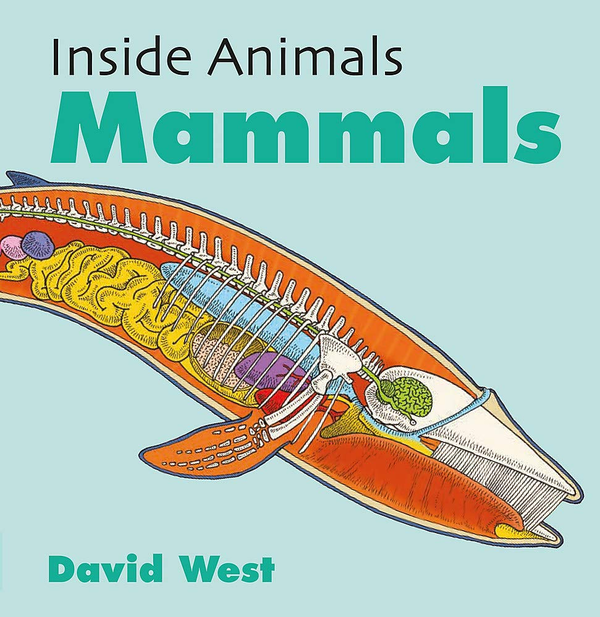 Паперова книга «Inside Animals. Mammals», автор Девід Уест - фото №1