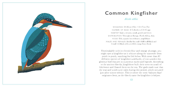 Бумажная книга «Little Guide to Birds», автор Элисон Дэвис - фото №1