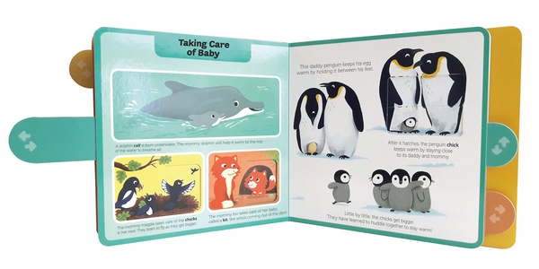 Бумажная книга «Baby Animals», автор Стефани Бэбин - фото №1