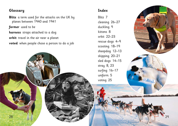 Бумажная книга «Super Dogs: Band 05/Green» - фото №1