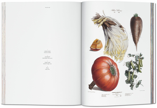 Бумажная книга «Vilmorin, Vegetable Garden» - фото №1