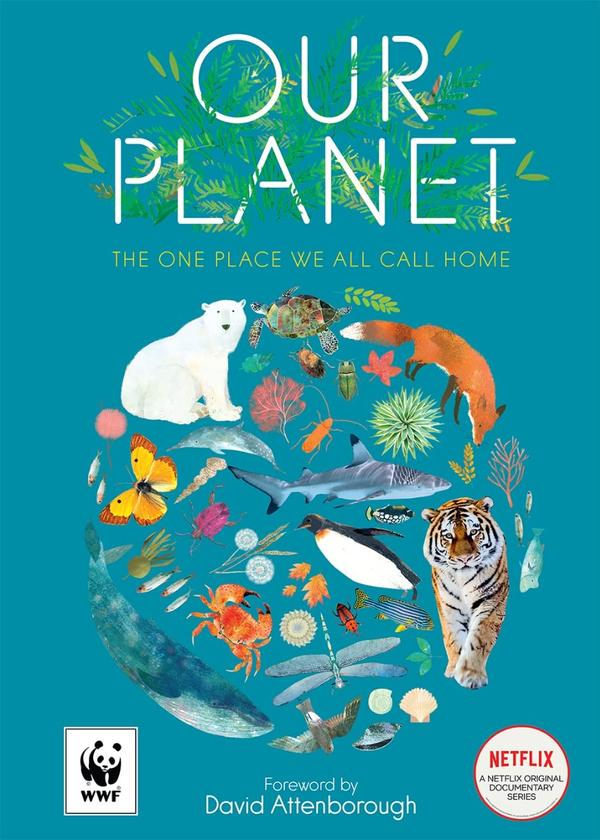 Бумажная книга «Our Planet. The One Place We All Call Home», автор Мэтт Уаймен - фото №1