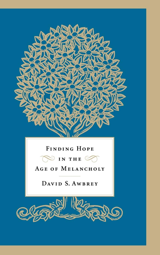 Паперова книга «Finding Hope in the Age of Melancholy» - фото №1