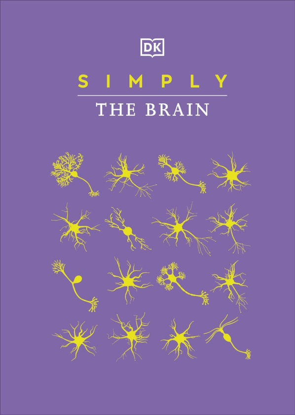 [object Object] «Simply The Brain» - фото №1