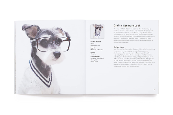 Бумажная книга «How To Make Your Dog #Famous. A Guide to Social Media and Beyond», автор Лони Эдвардс - фото №1