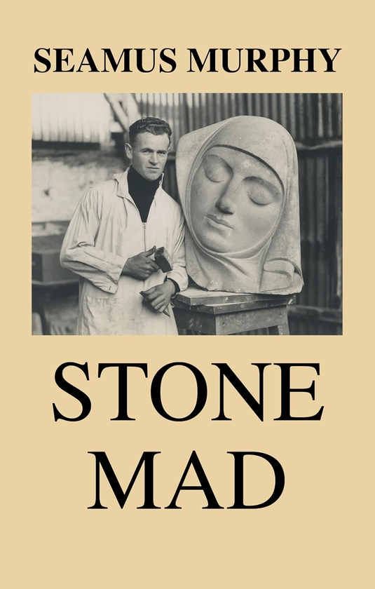 Паперова книга «Stone Mad», автор Шеймус Мерфі - фото №1