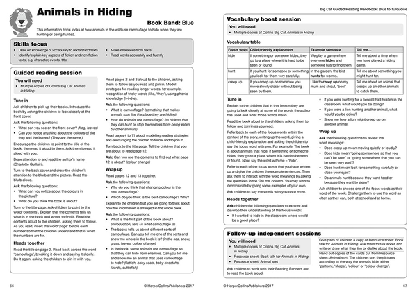 Паперова книга «Guided Reading Handbook Blue to Turquoise: Complete Teaching and Assessment Support» - фото №1