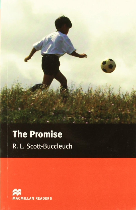 Бумажная книга «The Promise» - фото №1