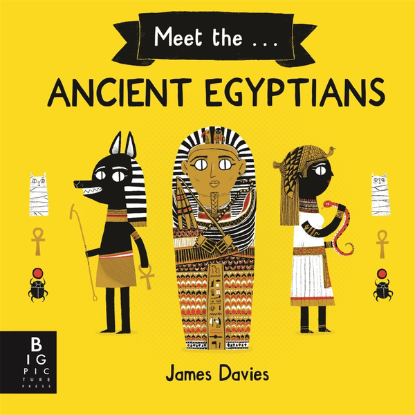 Бумажная книга «Meet the Ancient Egyptians», автор Джеймс Дэвис - фото №1