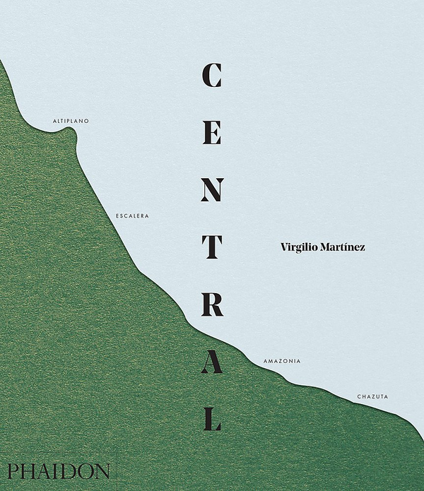Бумажная книга «Central», автор Вирджилио Мартинес - фото №1