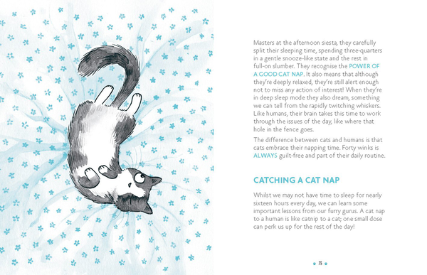 Бумажная книга «Be More Cat: Life Lessons from Our Feline Friends», автор Элисон Дэвис - фото №1
