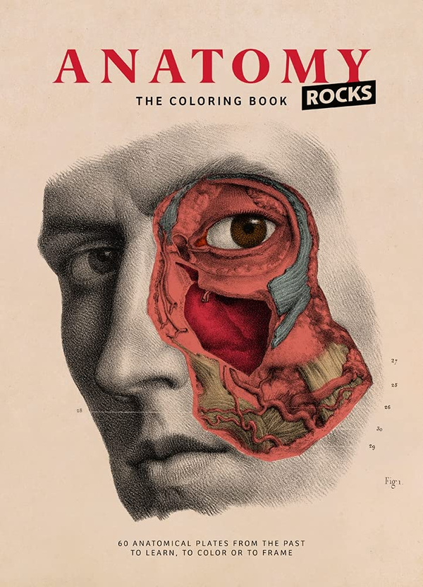 Бумажная книга «Anatomy Rocks. The Coloring Book» - фото №1
