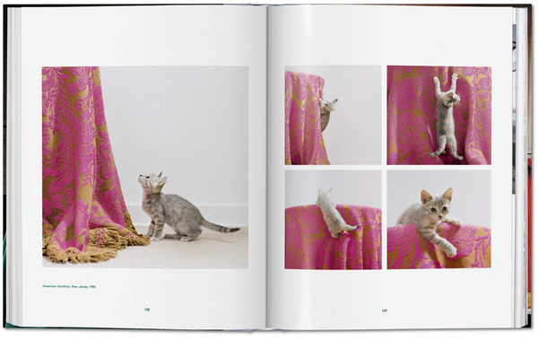 Паперова книга «Walter Chandoha. Cats. Photographs 1942–2018», авторів Волтер Чандоха, Сюзан Майклз - фото №1