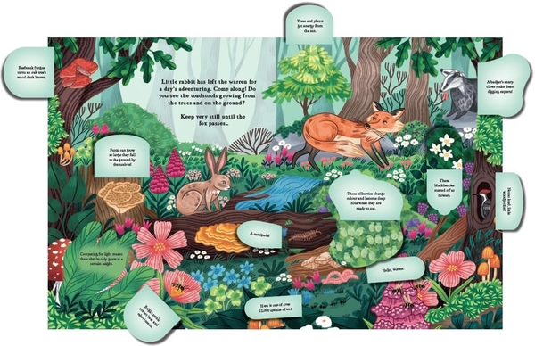 [object Object] «Hide and Find in the Forest: A Lift-the-Flap Woodland Adventure» - фото №2 - миниатюра