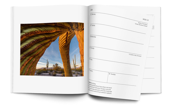 Бумажная книга «Wildlife Photographer of the Year Pocket Diary 2022» - фото №1
