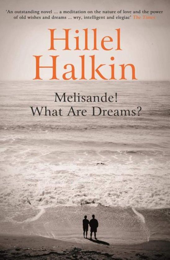 Бумажная книга «Melisande! What Are Dreams?», автор Хиллель Халкин - фото №1