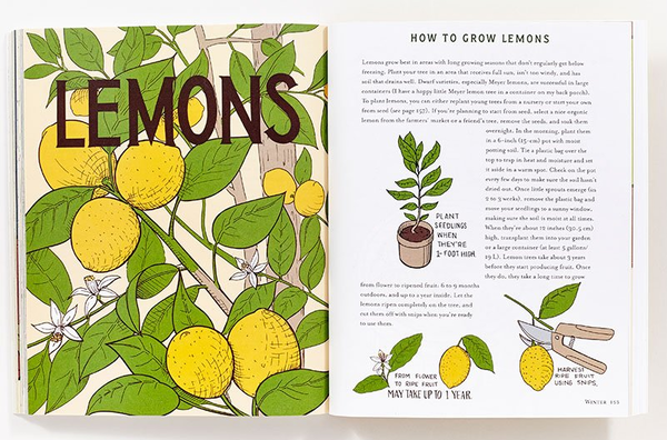 Бумажная книга «Homegrown. Illustrated Bites from Your Garden to Your Table», автор Хизер Хэрдисон - фото №1