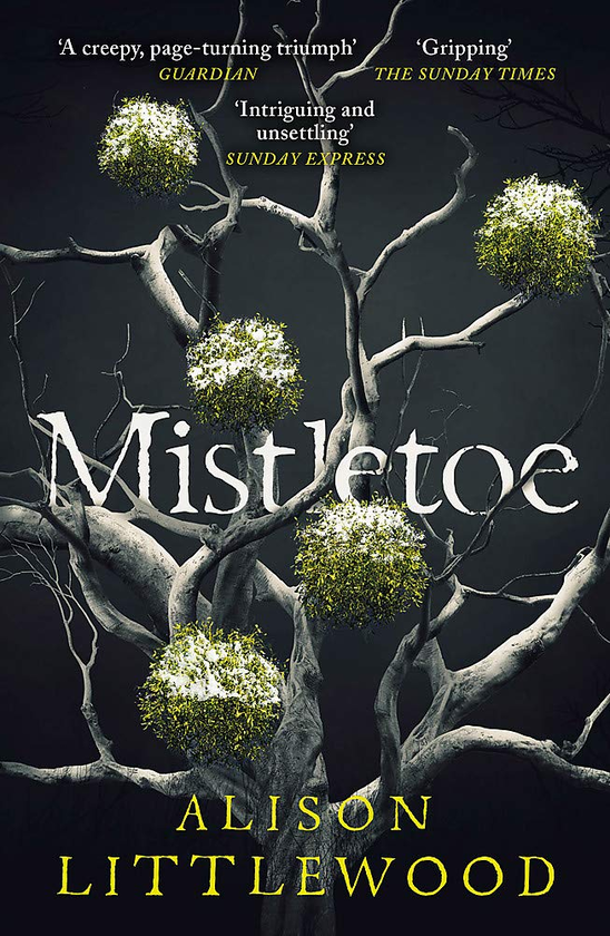 Бумажная книга «Mistletoe», автор Элисон Литтлвуд - фото №1