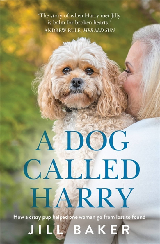 Бумажная книга «A Dog Called Harry», автор Джилл Бейкер - фото №1