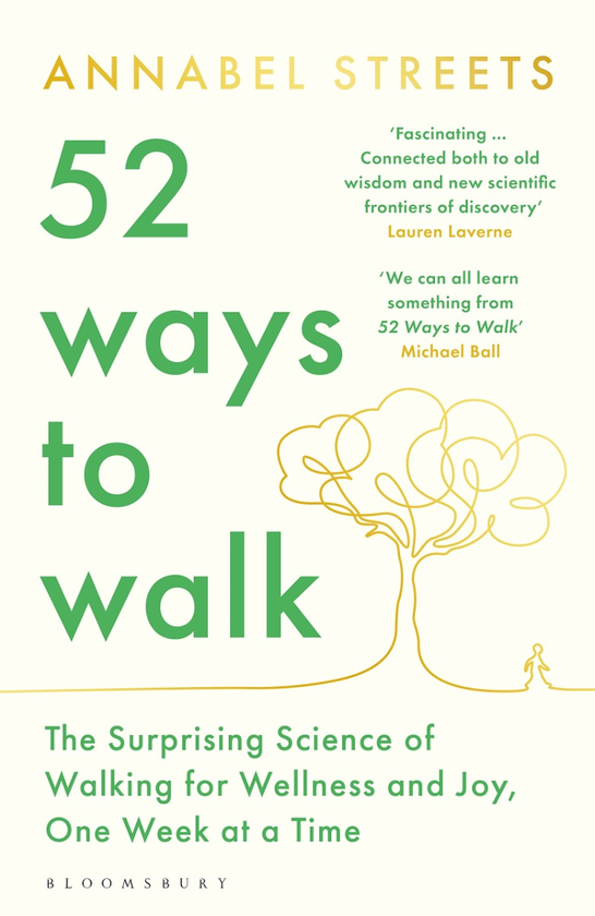 Паперова книга «52 Ways to Walk», автор Аннабель Стрітс - фото №1
