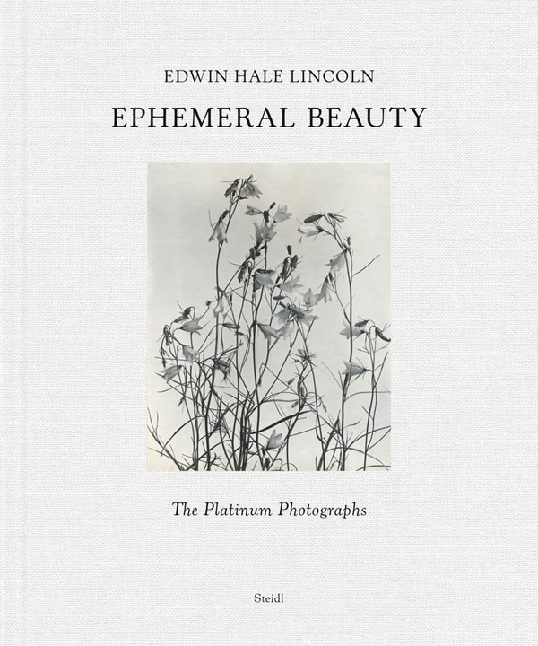 Бумажная книга «Edwin Hale Lincoln. Ephemeral Beauty», автор Билл Беккер - фото №1