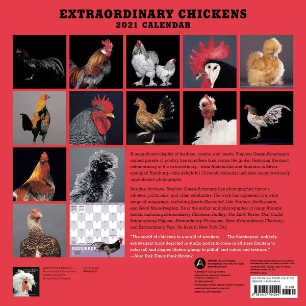Паперова книга «Extraordinary Chickens 2021 Wall Calendar», автор Стівен Грін-Армітаж - фото №1