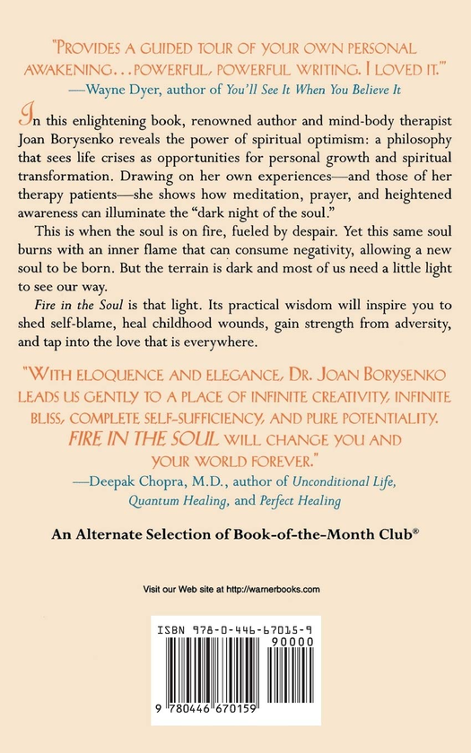 Бумажная книга «Fire in the Soul. A New Psychology of Spiritual Optimism», автор Джоан Борисенко - фото №1