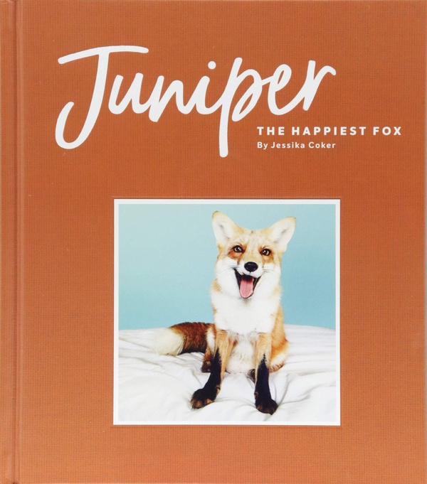 Бумажная книга «Juniper: The Happiest Fox» - фото №1
