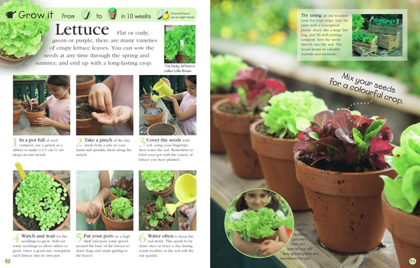 Бумажная книга «RHS Grow It, Eat It» - фото №1