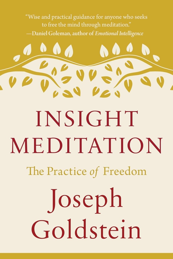 [object Object] «Insight Meditation: The Practice of Freedom», автор Джозеф Гольдштейн - фото №1