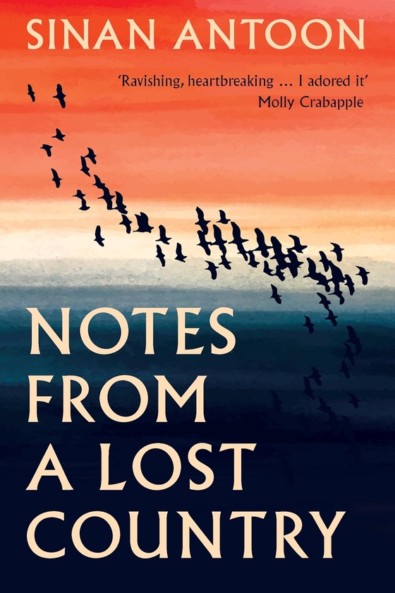 Бумажная книга «Notes from a Lost Country», автор Синан Антун - фото №1