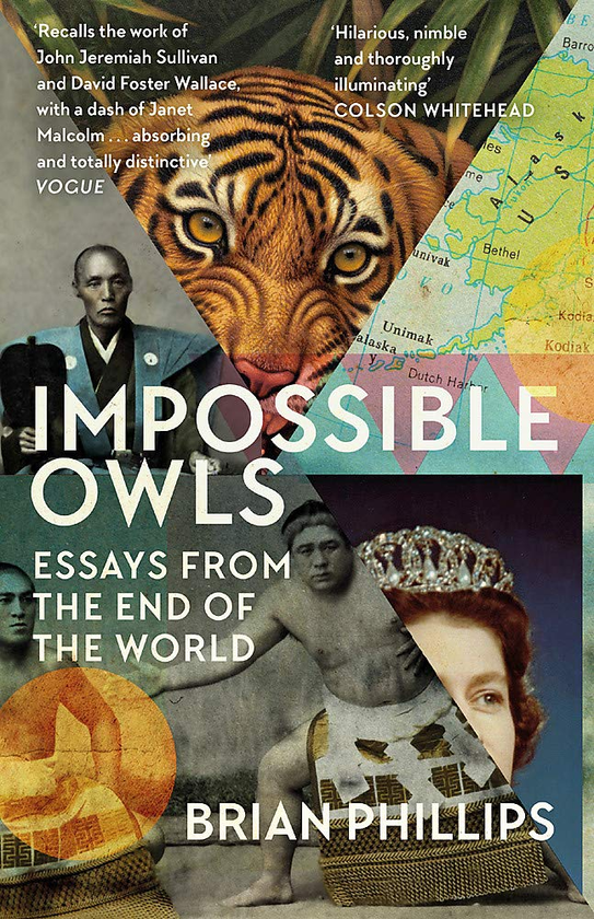 Бумажная книга «Impossible Owls», автор Брайан Филлипс - фото №1
