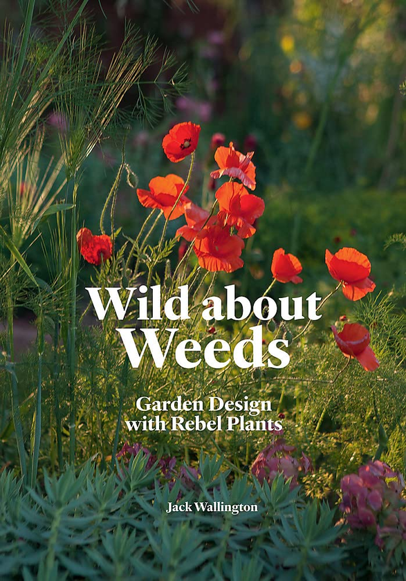 Паперова книга «Wild about Weeds. Garden Design with Rebel Plants», автор Джек Воллінгтон - фото №1