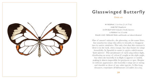 Бумажная книга «The Little Guide to Butterflies» - фото №1